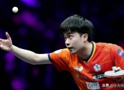 三亿体育体育电竞-波斯尼亚队斩获关键胜利，晋级前十六强