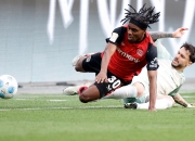 三亿体育体育官网入口-包含不莱梅：排除万难，努力争执德甲殿堂的词条