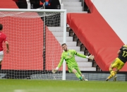 三亿体育体育平台-南安普敦主场战平，保级希望渐行渐远的简单介绍