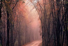 三亿体育体育vip注册-上港客场狭胜，坚守领先位置不动摇