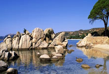 三亿体育体育网页版入口-女队全力以赴，斗志高昂赢得胜利——青春与坚韧的动人篇章