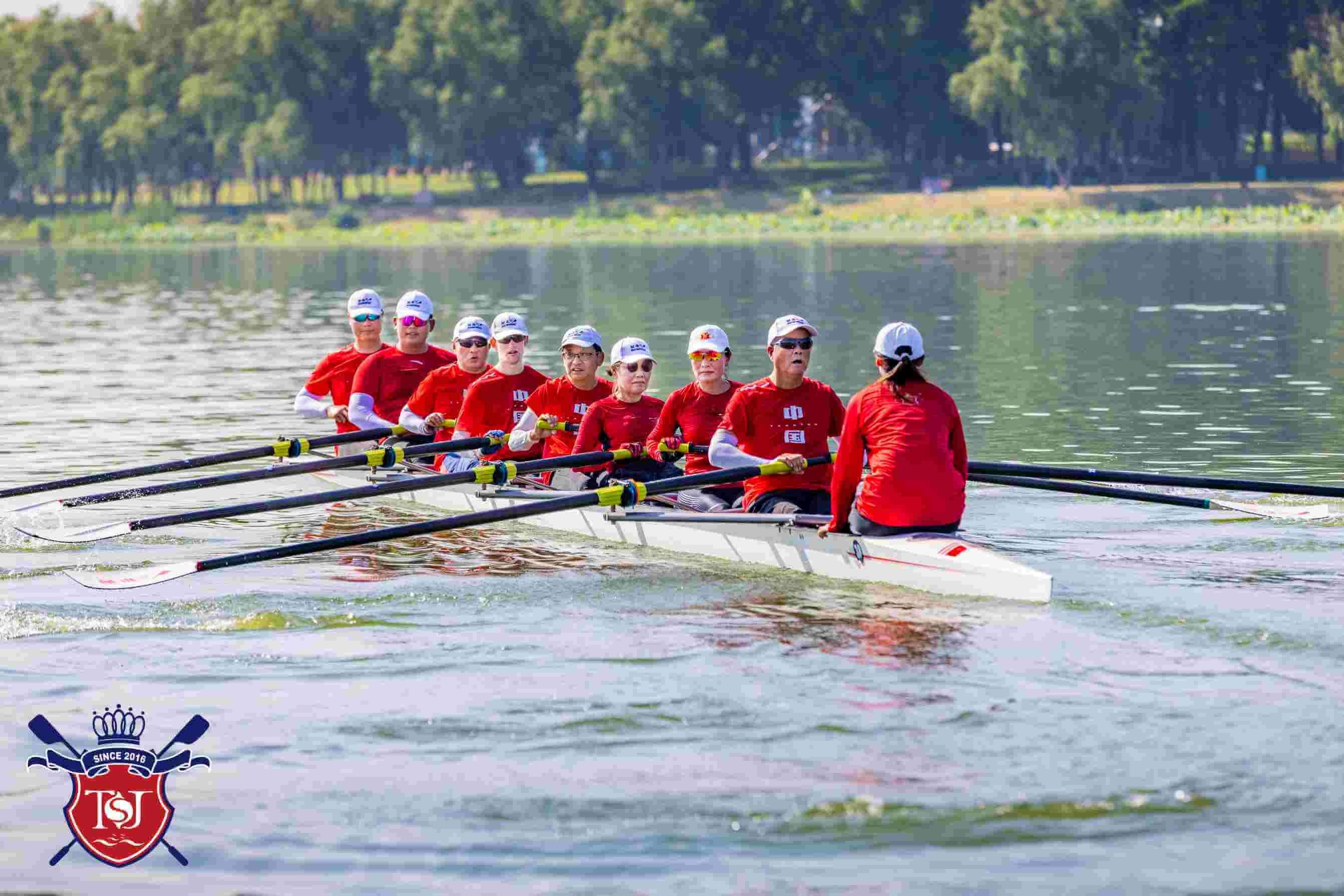 关于赛艇女子八人艇决赛激烈开战，荷兰选手体能卓越夺冠！的信息