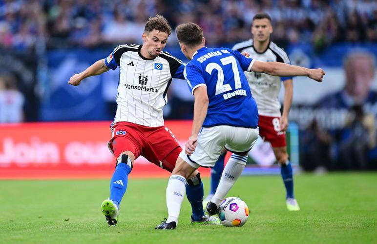 包含沙尔克04遭遇四连败，德甲排名下滑至倒数第二的词条